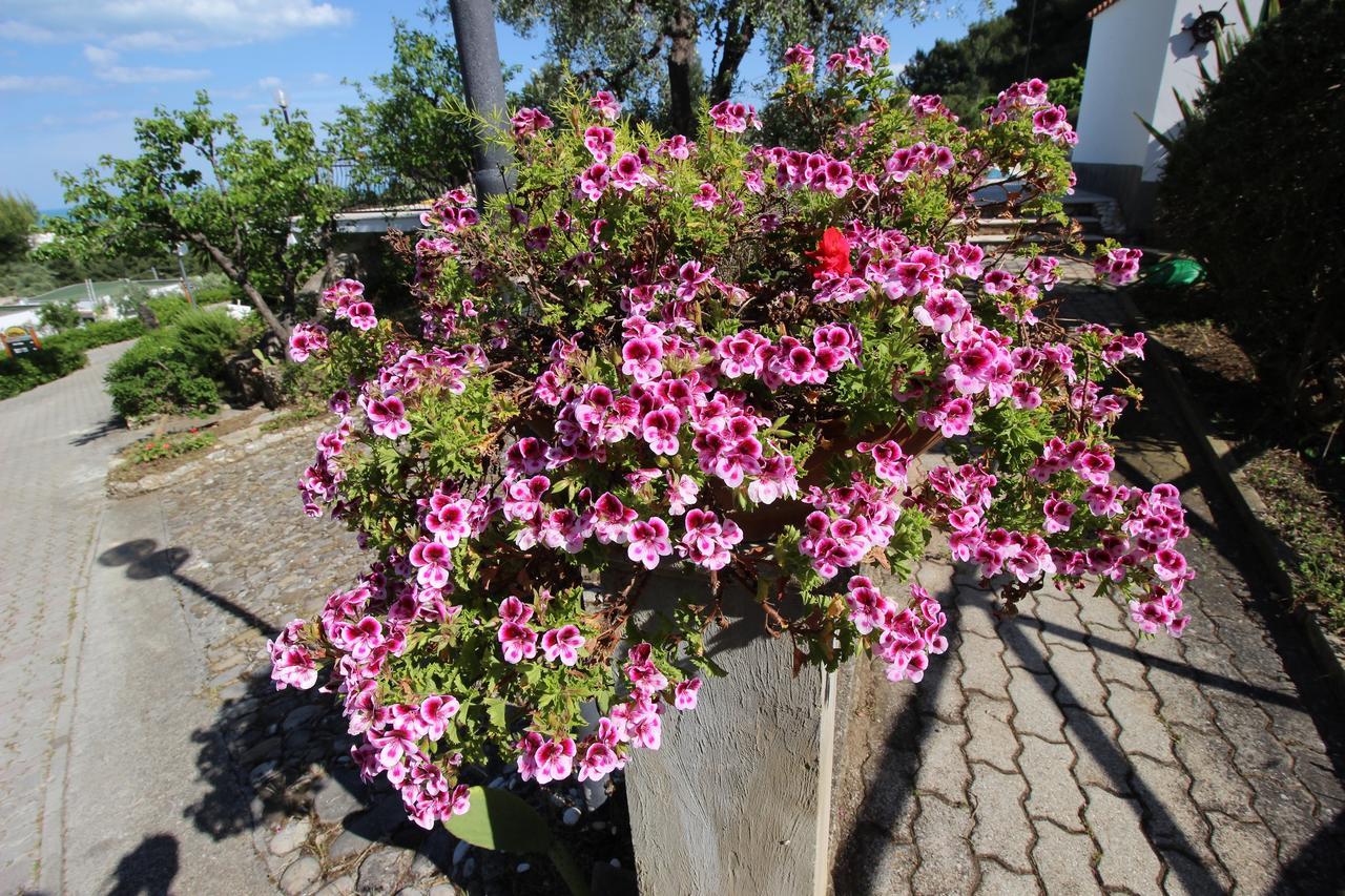 Villaggio Passo Dell'Arciprete Vieste Bagian luar foto